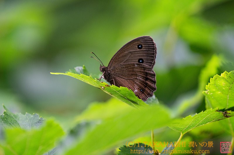 ../Images/7R240724 (49).jpg